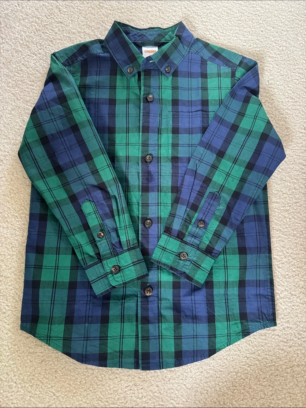 Gymboree Blue and Green Plaid Button-Down Shirt